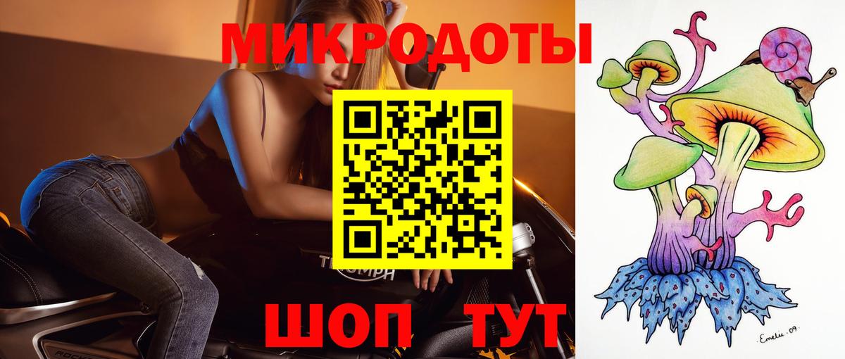 Псилоцибиновые грибы мицелий Балтийск